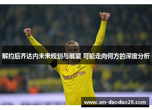 解约后齐达内未来规划与展望 可能走向何方的深度分析 解约后齐达内未来规划与展望 可能走向何方的深度分析