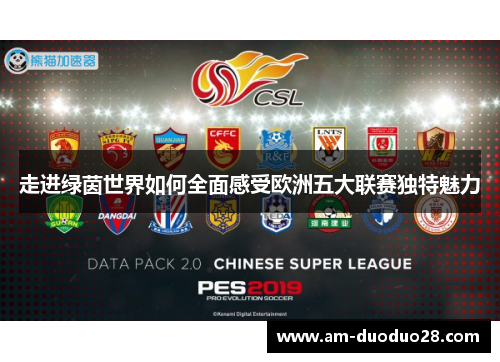 走进绿茵世界如何全面感受欧洲五大联赛独特魅力
