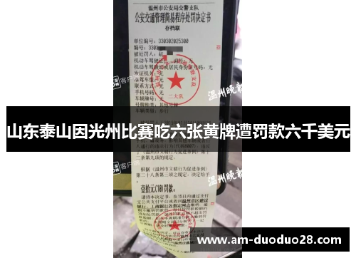 山东泰山因光州比赛吃六张黄牌遭罚款六千美元