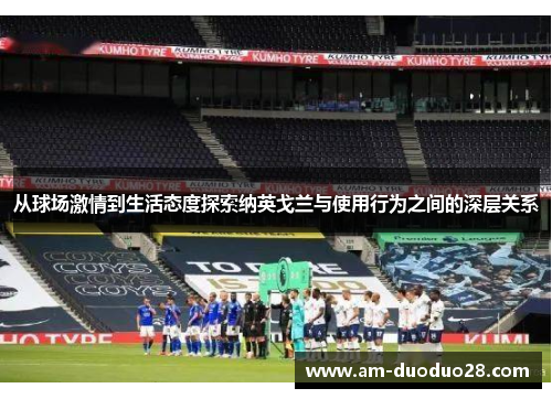 从球场激情到生活态度探索纳英戈兰与使用行为之间的深层关系 从球场激情到生活态度探索纳英戈兰与使用行为之间的深层关系