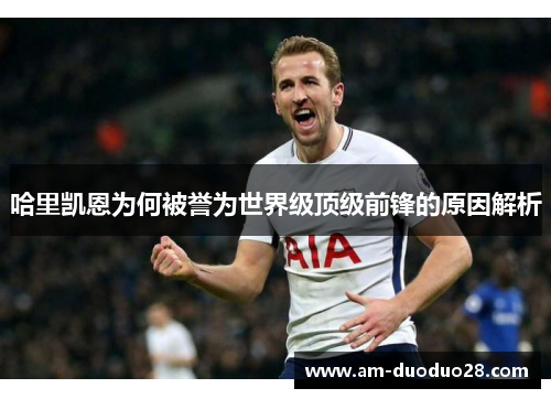 哈里凯恩为何被誉为世界级顶级前锋的原因解析