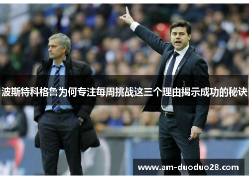 波斯特科格鲁为何专注每周挑战这三个理由揭示成功的秘诀