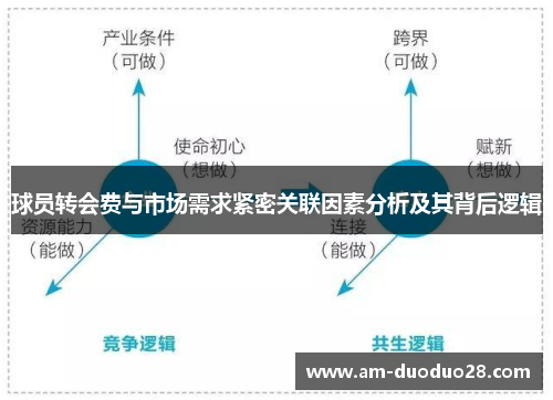 球员转会费与市场需求紧密关联因素分析及其背后逻辑