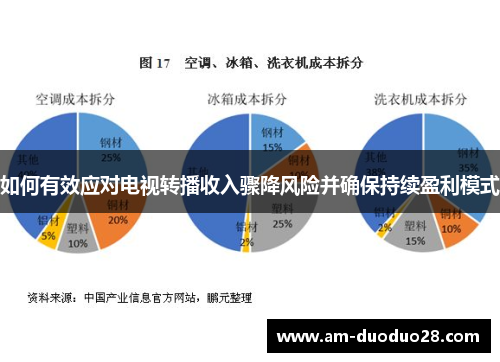 如何有效应对电视转播收入骤降风险并确保持续盈利模式