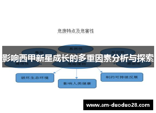 影响西甲新星成长的多重因素分析与探索