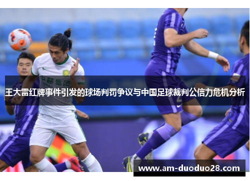 王大雷红牌事件引发的球场判罚争议与中国足球裁判公信力危机分析