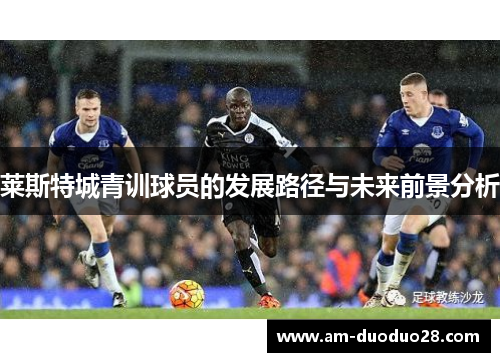 莱斯特城青训球员的发展路径与未来前景分析