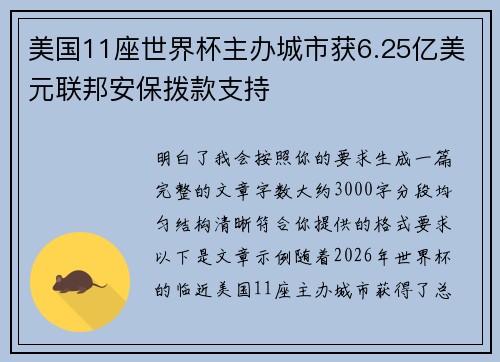 美国11座世界杯主办城市获6.25亿美元联邦安保拨款支持 美国11座世界杯主办城市获6.25亿美元联邦安保拨款支持